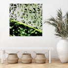 Leaf VI by Peter Morneau on GIANT ART - black photo art