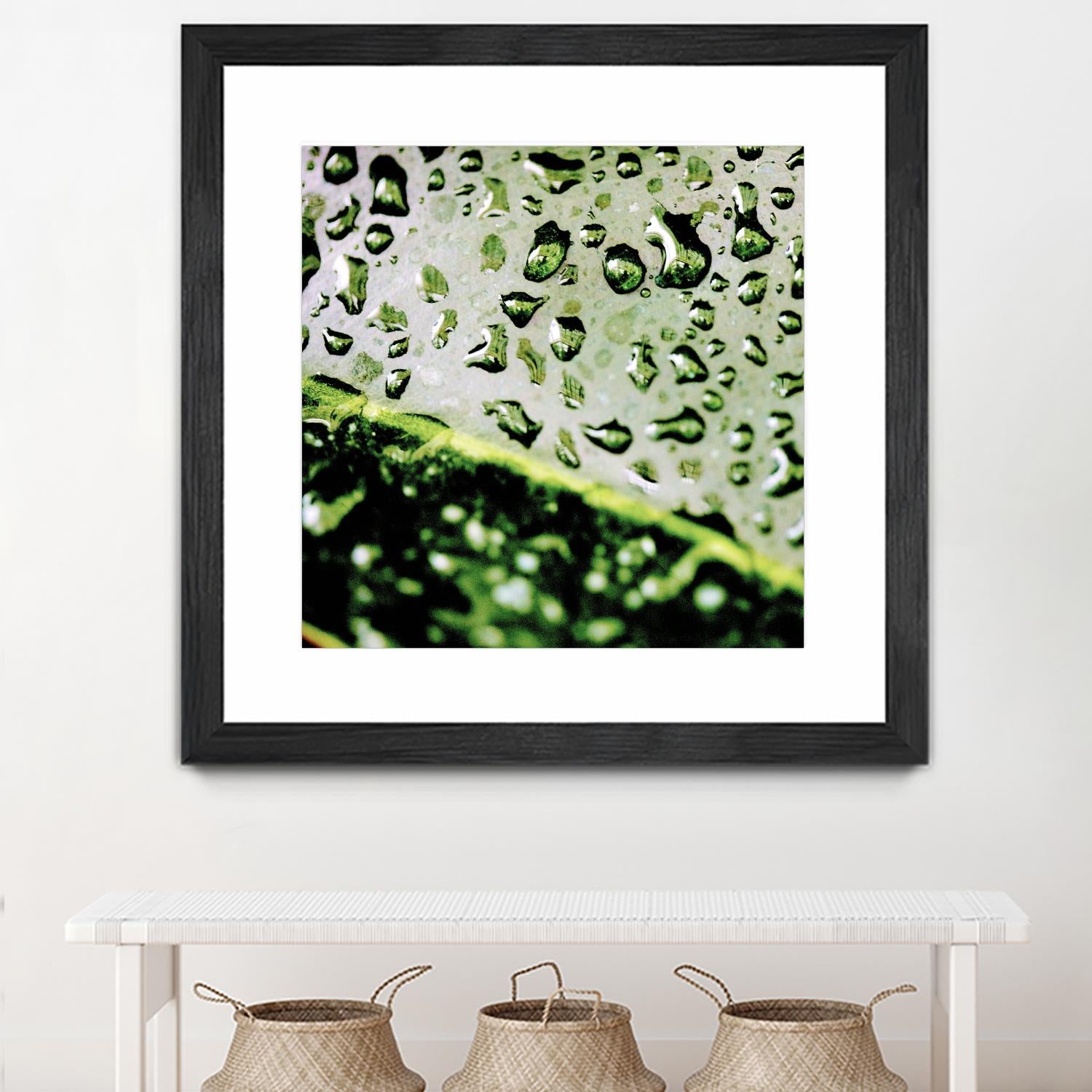 Leaf VI by Peter Morneau on GIANT ART - black photo art