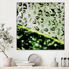 Leaf VI by Peter Morneau on GIANT ART - black photo art