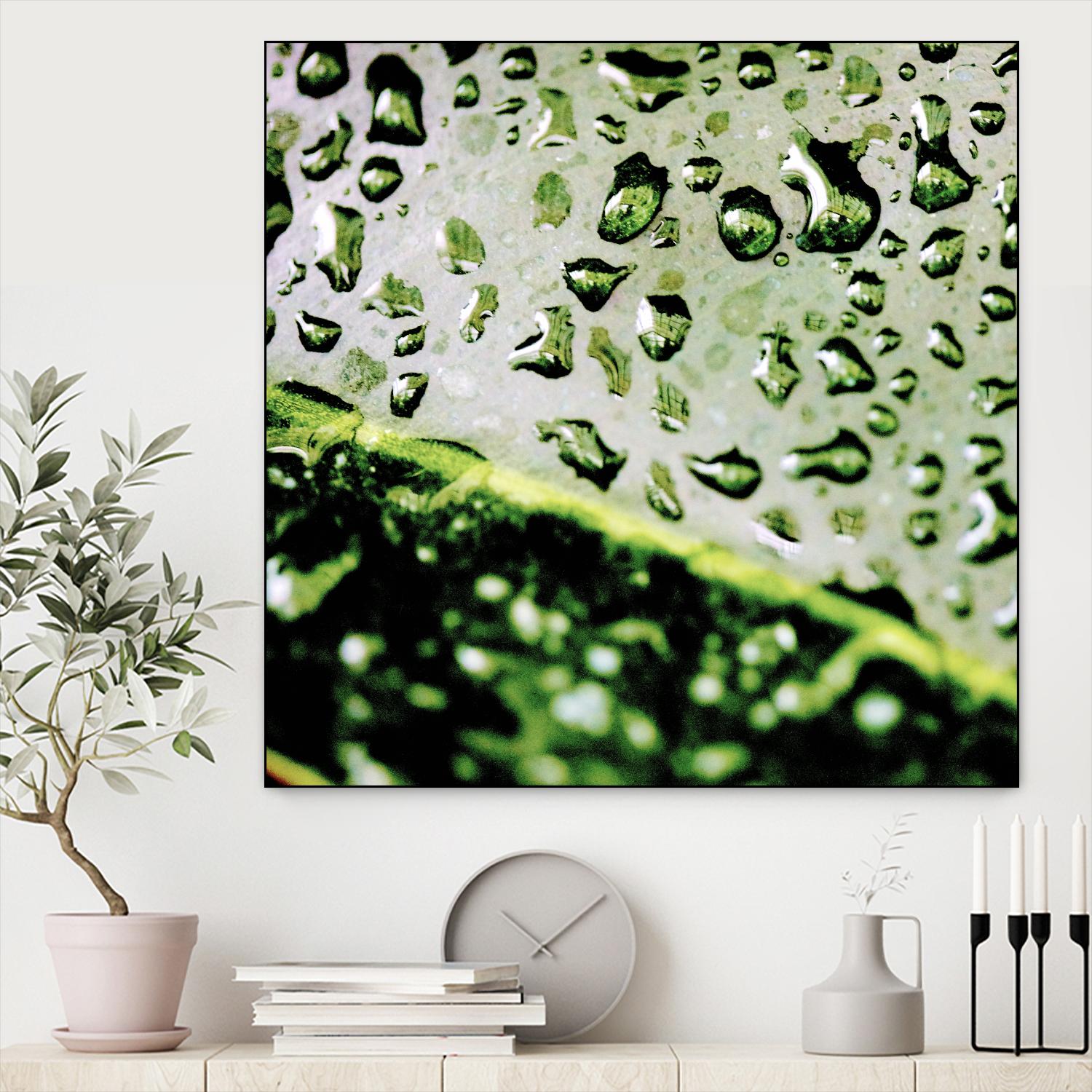 Leaf VI by Peter Morneau on GIANT ART - black photo art