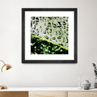 Leaf VI by Peter Morneau on GIANT ART - black photo art