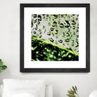 Leaf VI by Peter Morneau on GIANT ART - black photo art