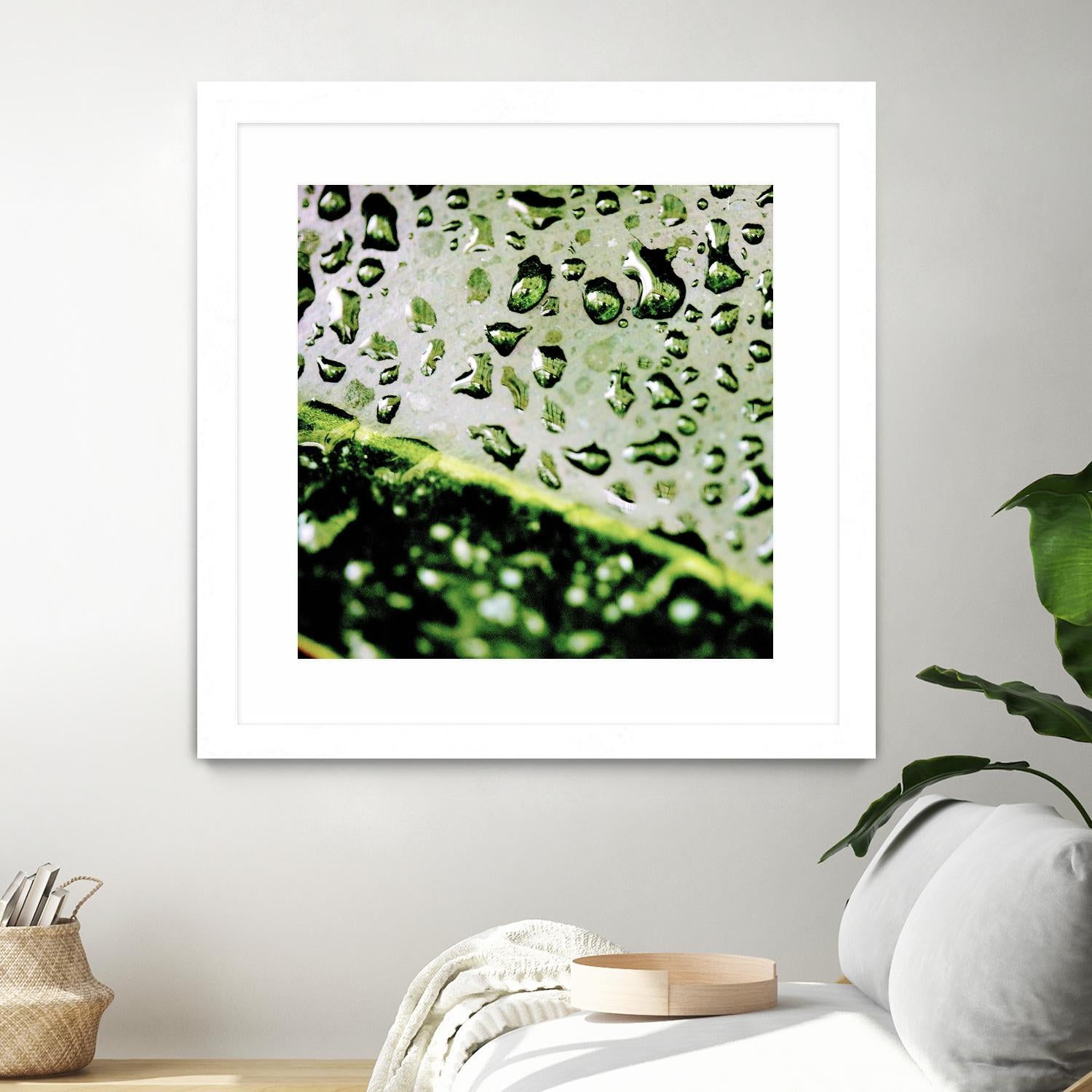 Leaf VI by Peter Morneau on GIANT ART - black photo art