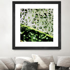 Leaf VI by Peter Morneau on GIANT ART - black photo art