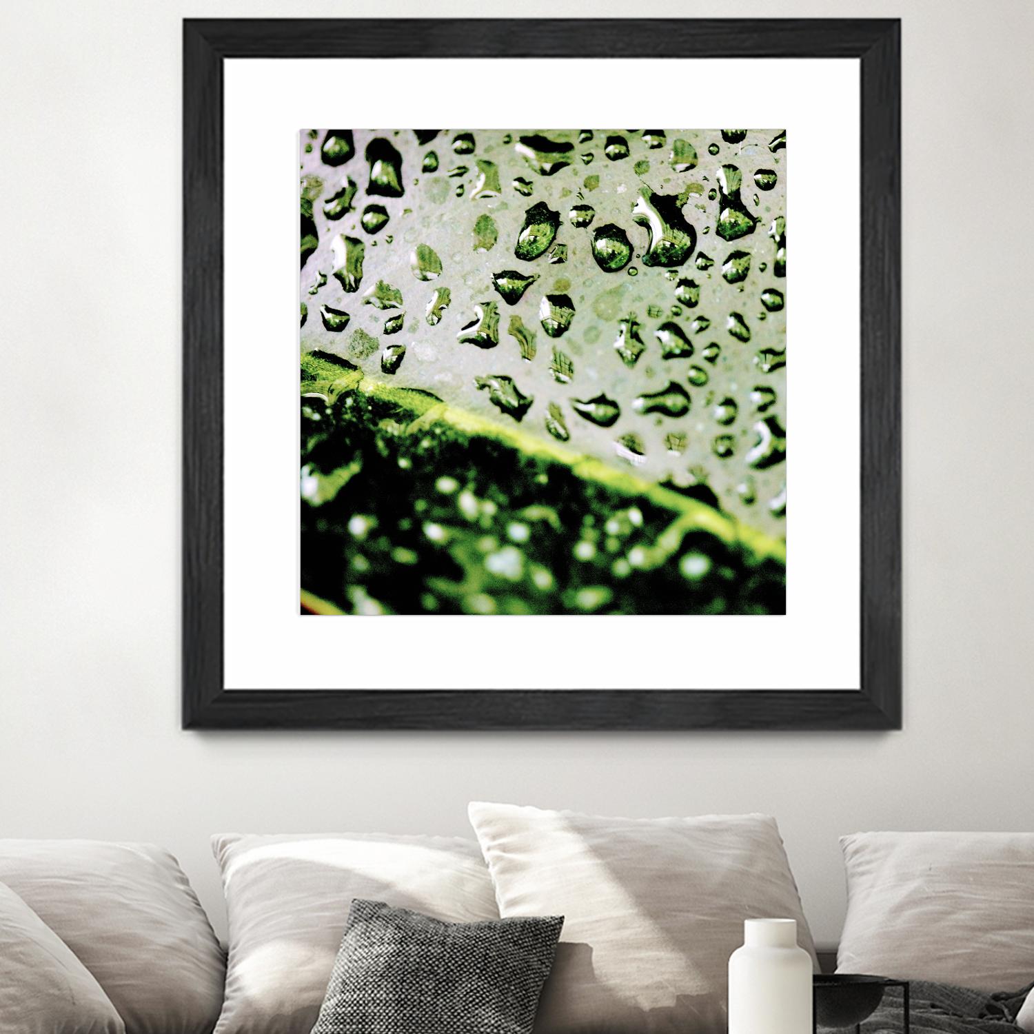 Leaf VI by Peter Morneau on GIANT ART - black photo art