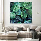 Leaf VIII by Peter Morneau on GIANT ART - white botany