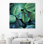 Leaf VIII by Peter Morneau on GIANT ART - white botany