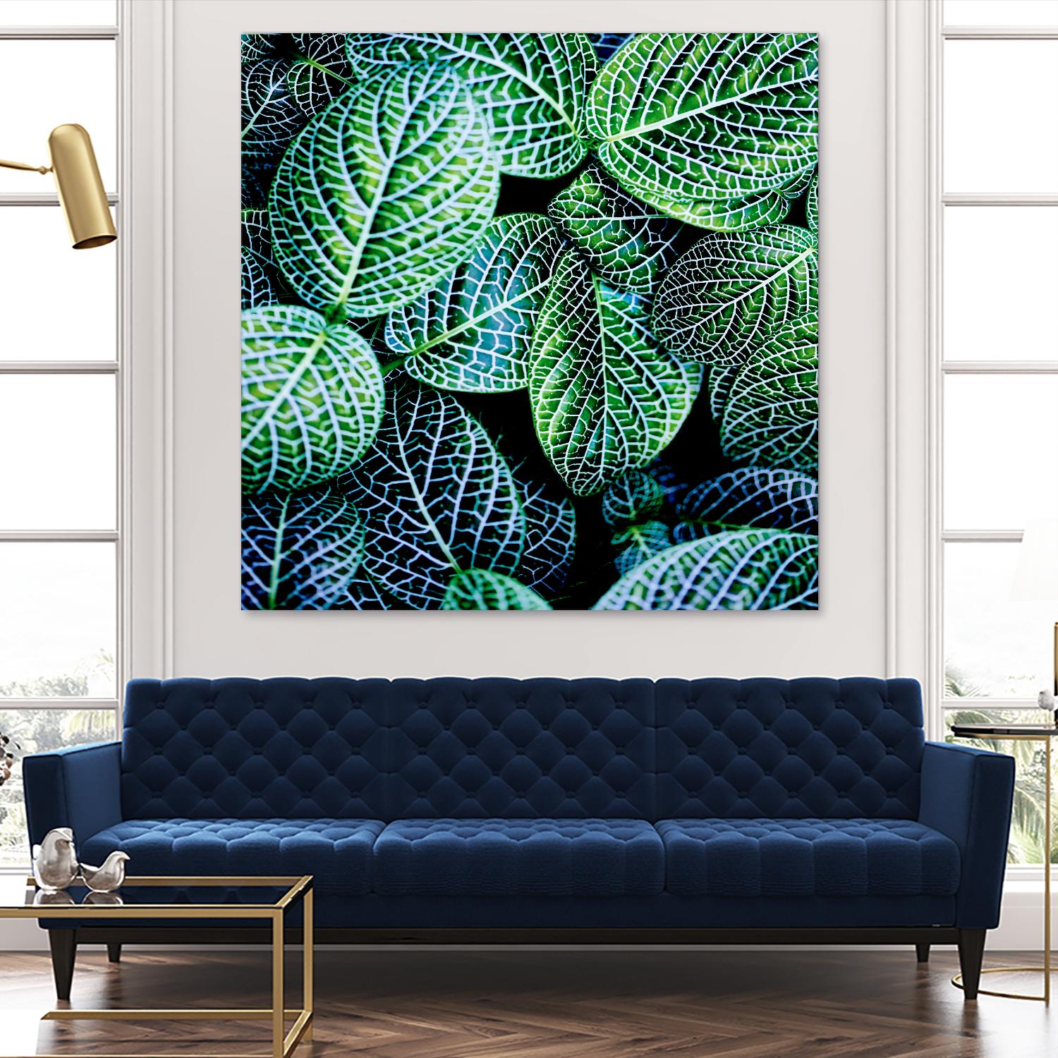 Leaf VIII by Peter Morneau on GIANT ART - white botany