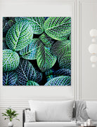 Leaf VIII by Peter Morneau on GIANT ART - white botany