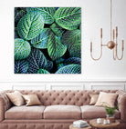 Leaf VIII by Peter Morneau on GIANT ART - white botany