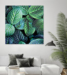 Leaf VIII by Peter Morneau on GIANT ART - white botany