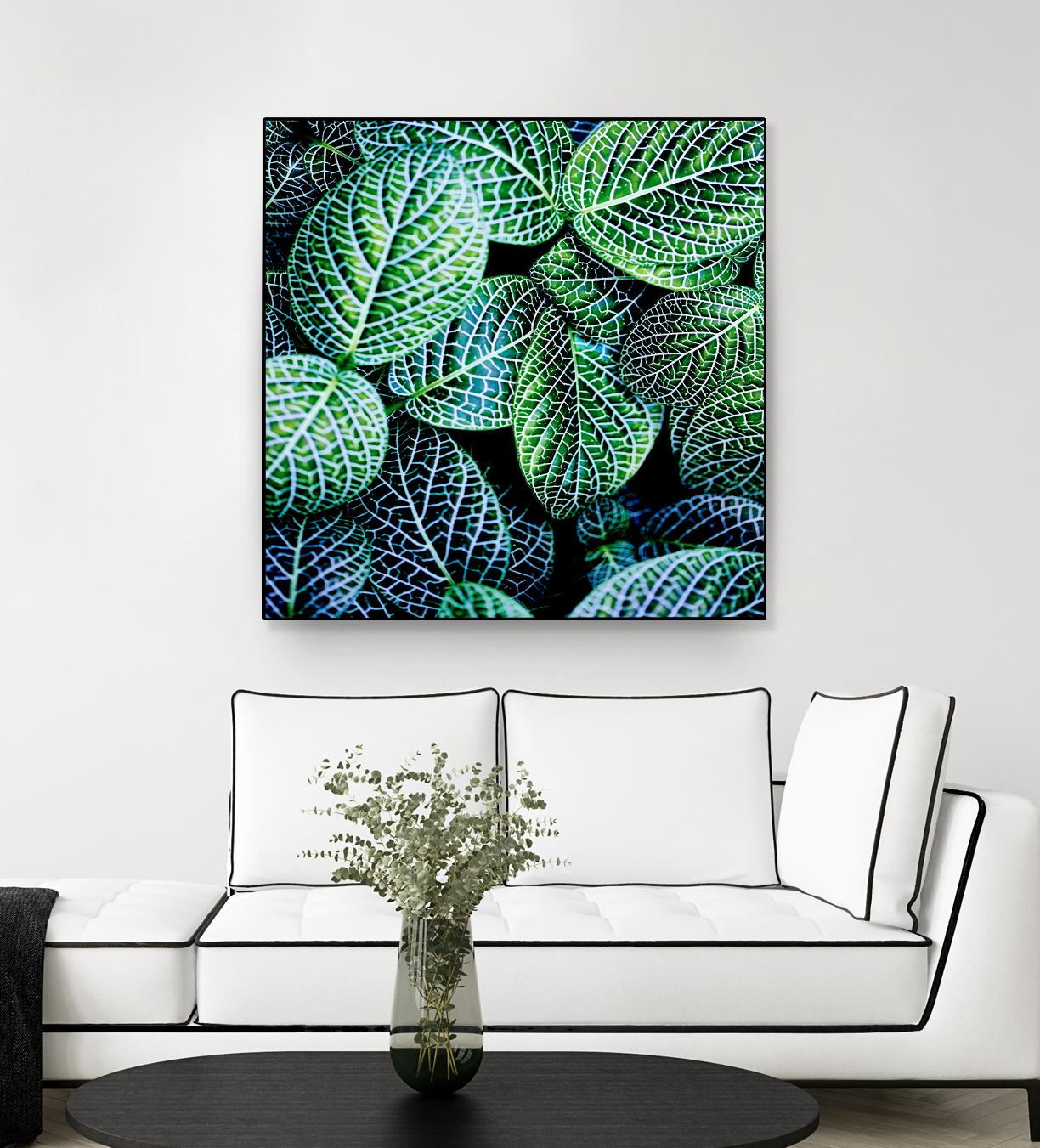 Leaf VIII by Peter Morneau on GIANT ART - white botany