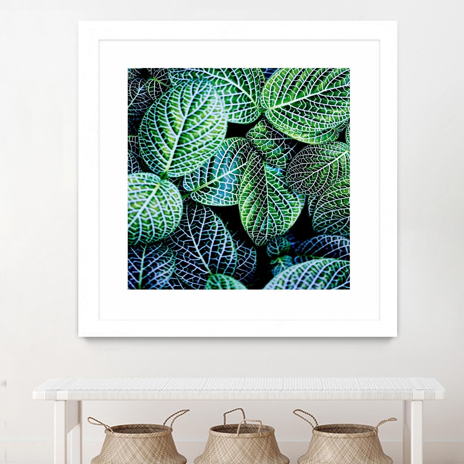 Leaf VIII by Peter Morneau on GIANT ART - white botany