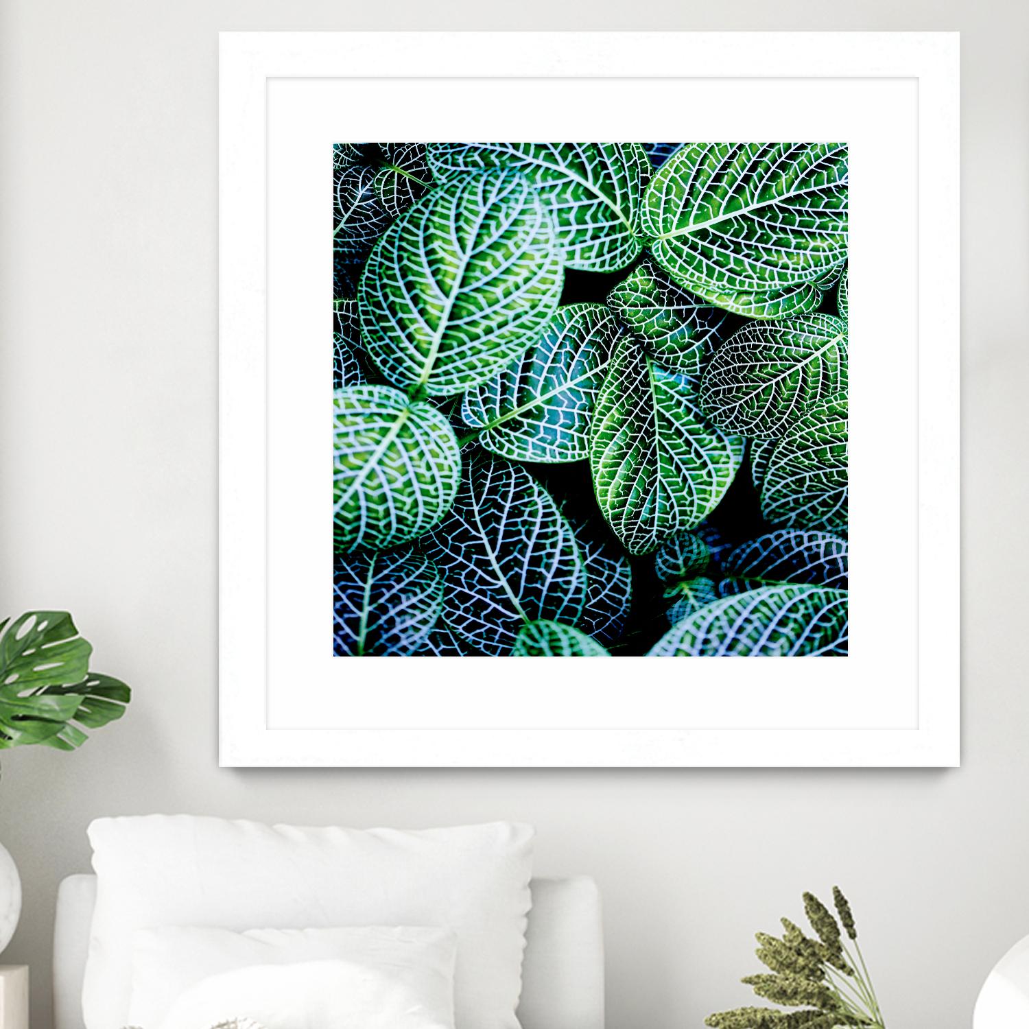 Leaf VIII by Peter Morneau on GIANT ART - white botany