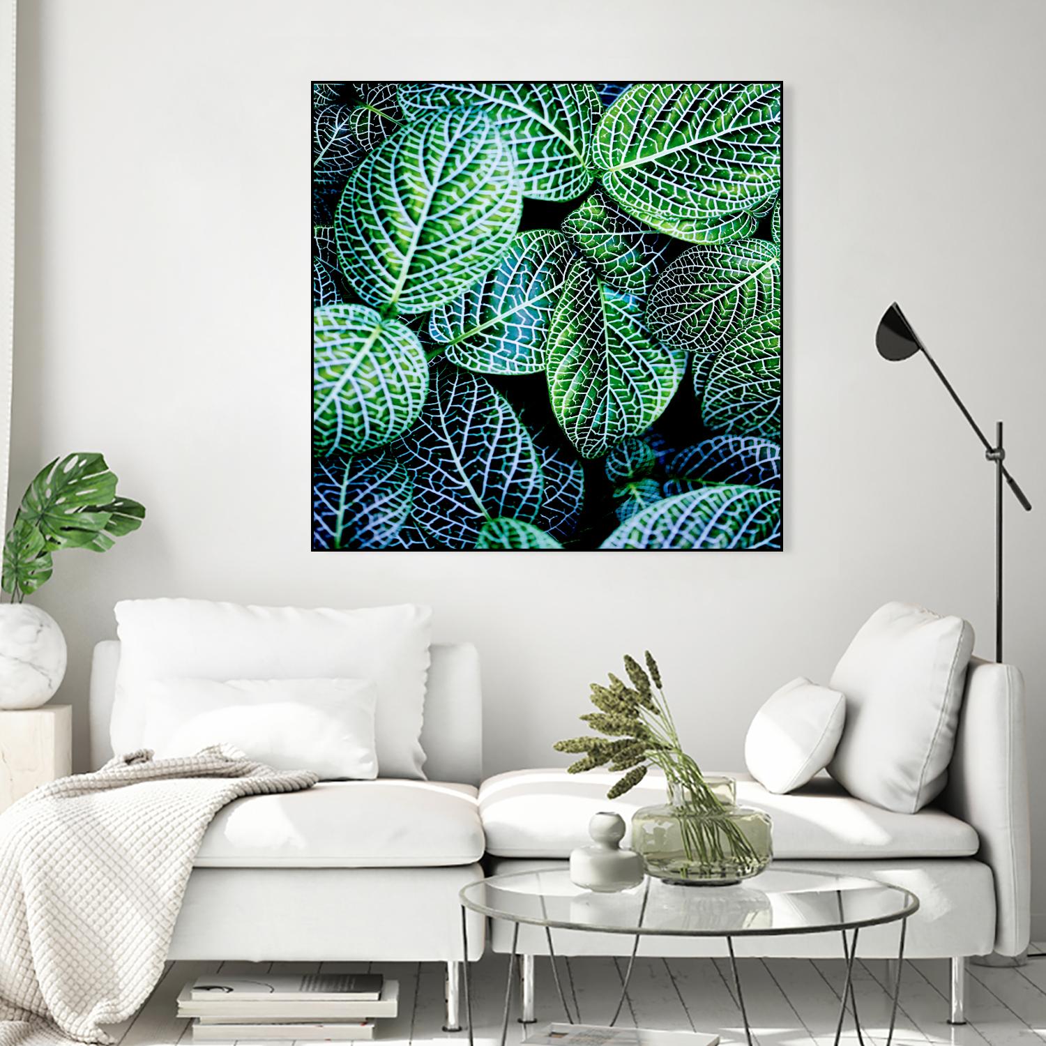 Leaf VIII by Peter Morneau on GIANT ART - white botany