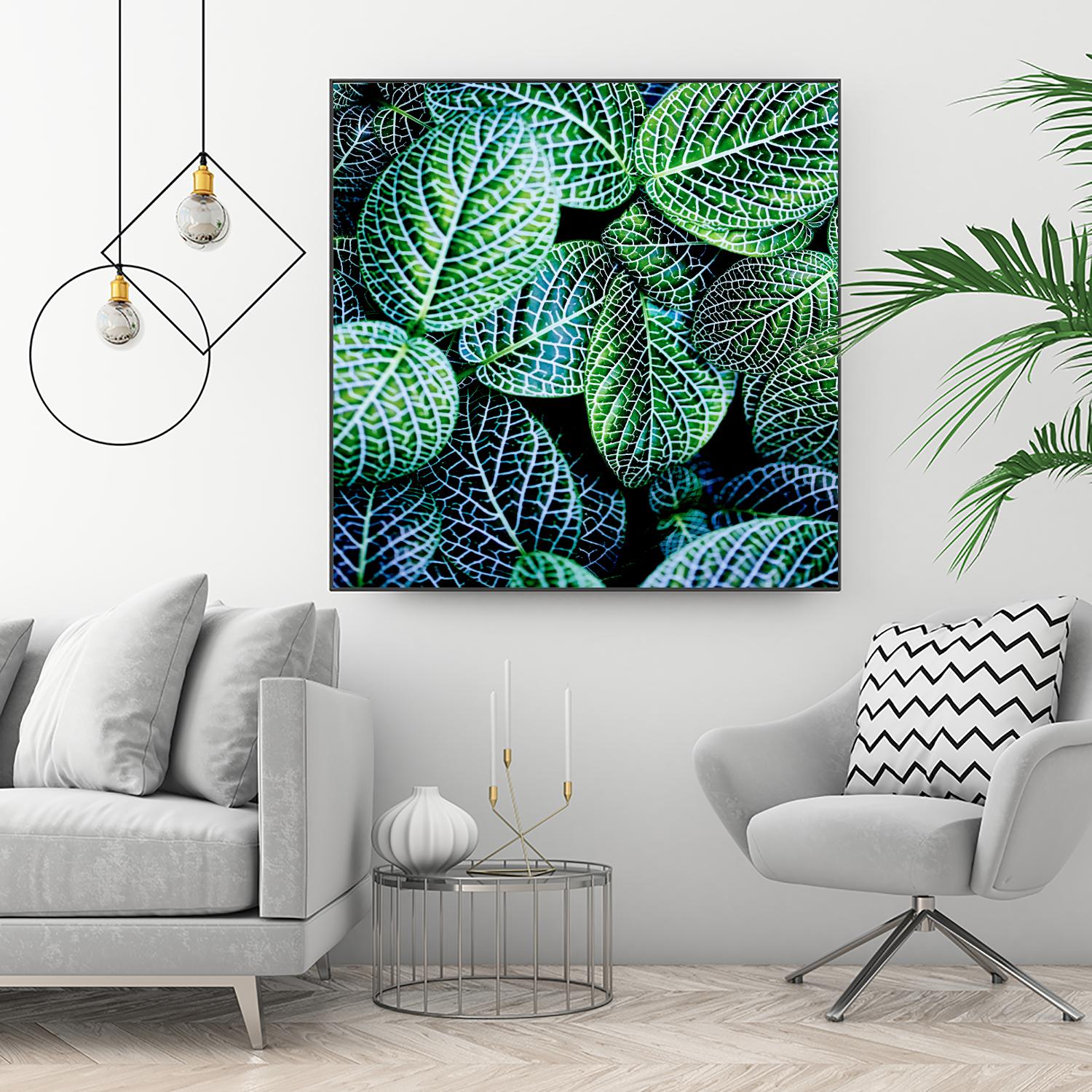 Leaf VIII by Peter Morneau on GIANT ART - white botany