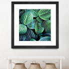 Leaf VIII by Peter Morneau on GIANT ART - white botany