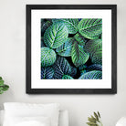 Leaf VIII by Peter Morneau on GIANT ART - white botany