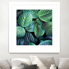 Leaf VIII by Peter Morneau on GIANT ART - white botany