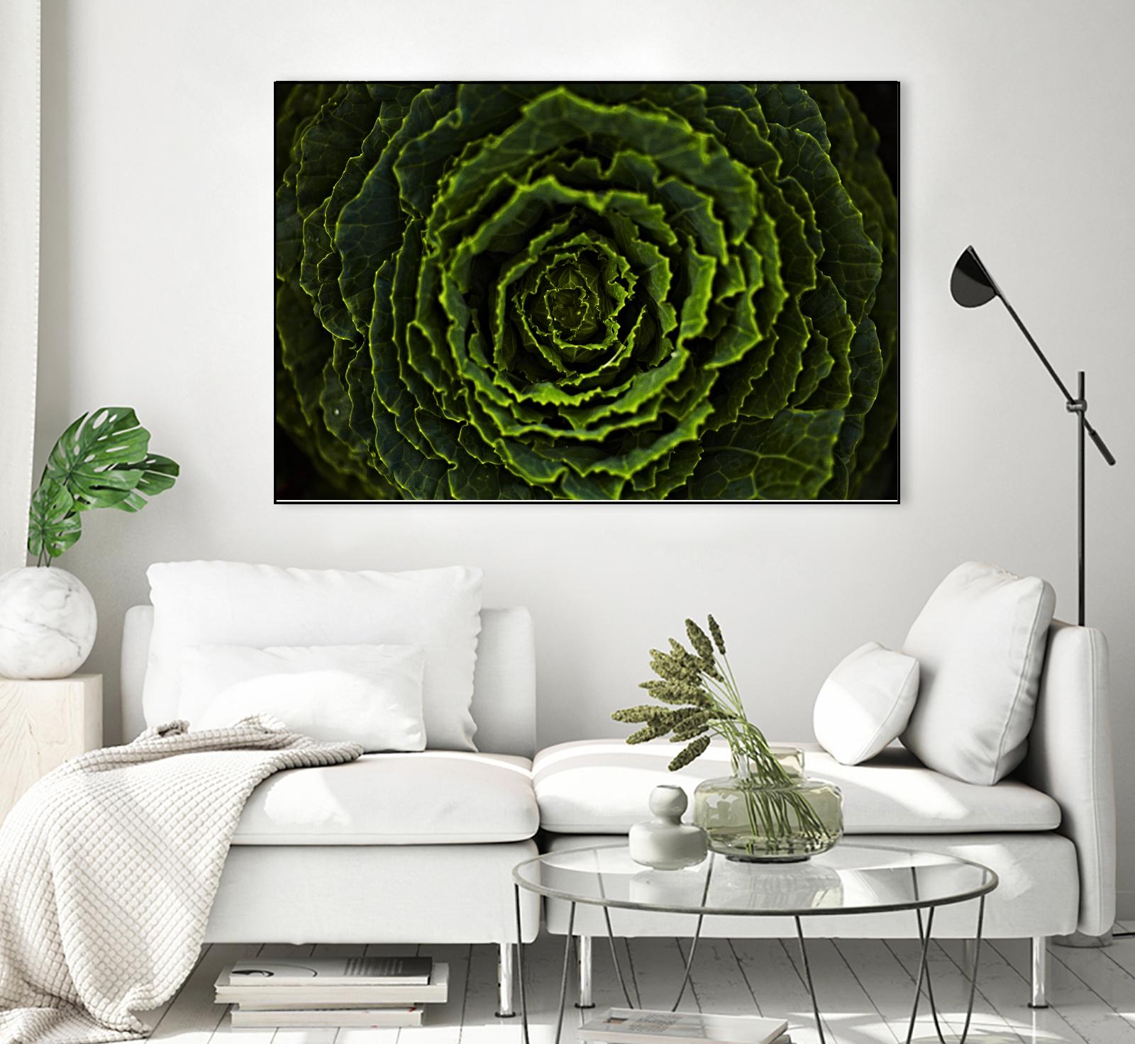 Cabbage II by Peter Morneau on GIANT ART - green photo art