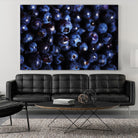 Blueberries I by Peter Morneau on GIANT ART - blue photo art