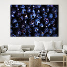 Blueberries I by Peter Morneau on GIANT ART - blue photo art