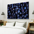 Blueberries I by Peter Morneau on GIANT ART - blue photo art