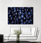 Blueberries I by Peter Morneau on GIANT ART - blue photo art