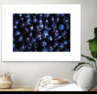 Blueberries I by Peter Morneau on GIANT ART - blue photo art