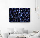 Blueberries I by Peter Morneau on GIANT ART - blue photo art