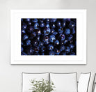 Blueberries I by Peter Morneau on GIANT ART - blue photo art