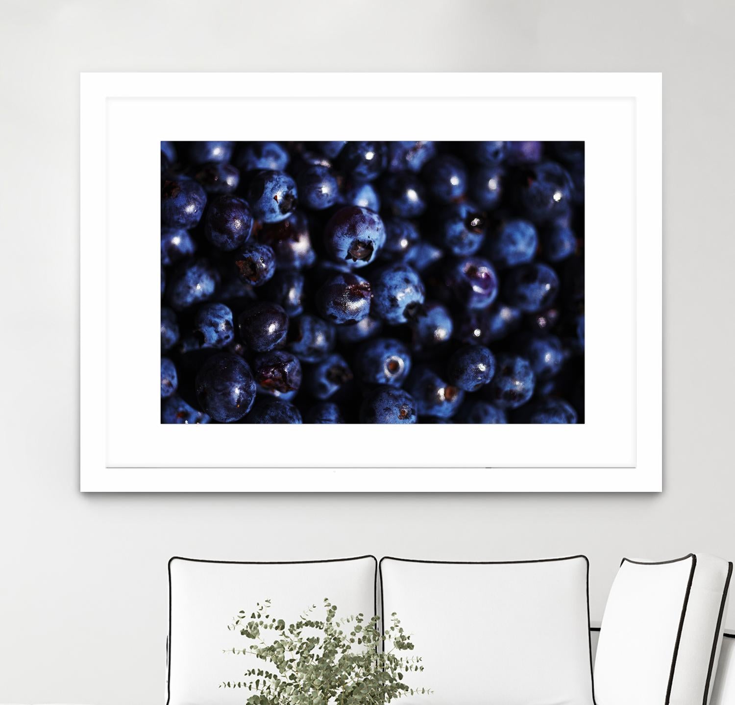 Blueberries I by Peter Morneau on GIANT ART - blue photo art