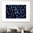 Blueberries I by Peter Morneau on GIANT ART - blue photo art