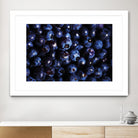Blueberries I by Peter Morneau on GIANT ART - blue photo art