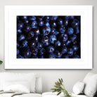 Blueberries I by Peter Morneau on GIANT ART - blue photo art