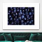 Blueberries I by Peter Morneau on GIANT ART - blue photo art