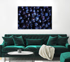 Blueberries I by Peter Morneau on GIANT ART - blue photo art
