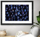 Blueberries I by Peter Morneau on GIANT ART - blue photo art