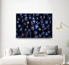 Blueberries I by Peter Morneau on GIANT ART - blue photo art