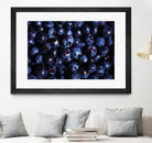 Blueberries I by Peter Morneau on GIANT ART - blue photo art