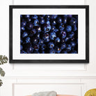 Blueberries I by Peter Morneau on GIANT ART - blue photo art