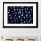 Blueberries I by Peter Morneau on GIANT ART - blue photo art