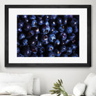 Blueberries I by Peter Morneau on GIANT ART - blue photo art
