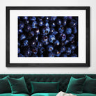 Blueberries I by Peter Morneau on GIANT ART - blue photo art