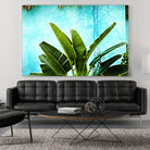 Tropical II by Peter Morneau on GIANT ART - green photo art