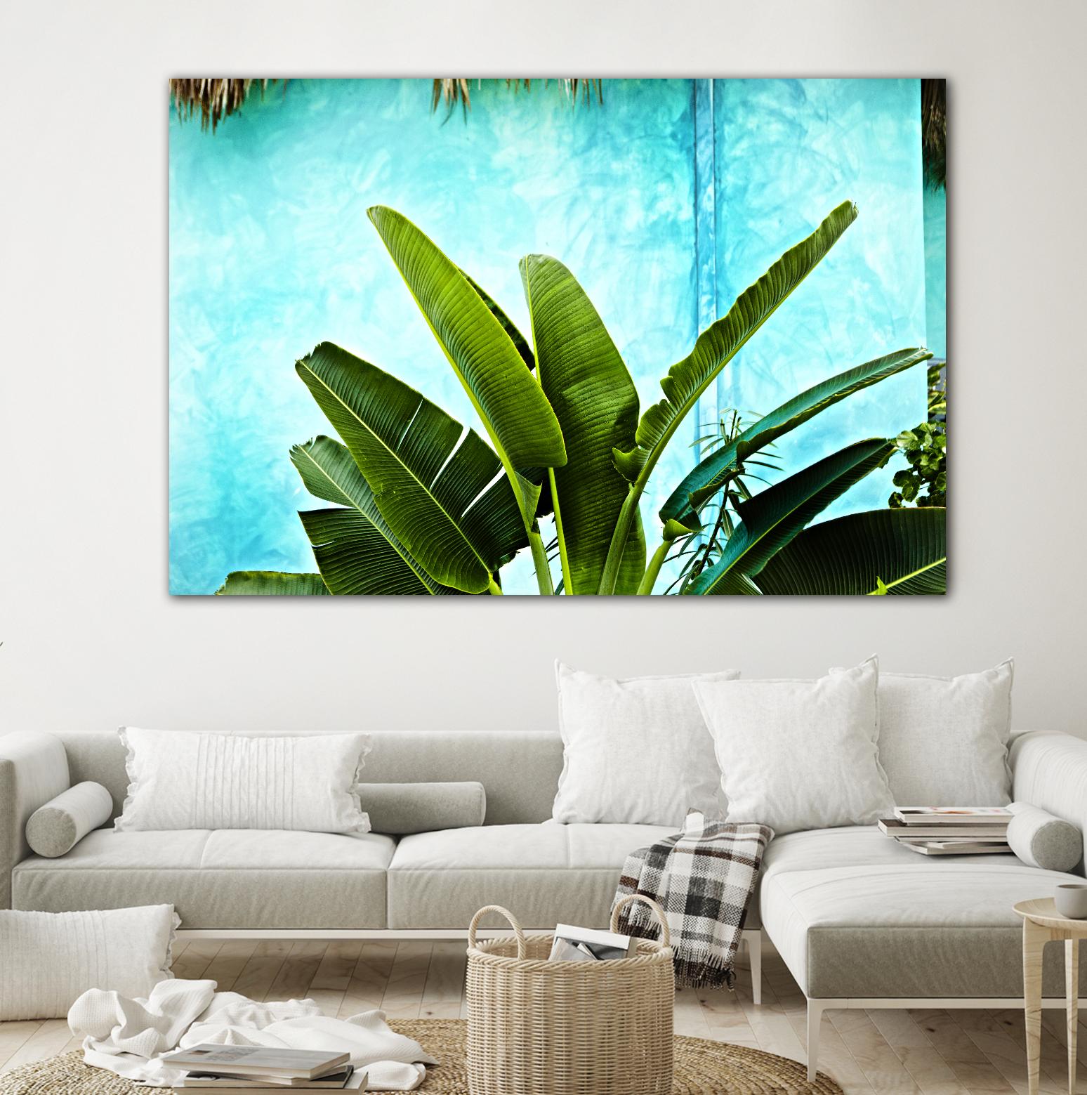 Tropical II by Peter Morneau on GIANT ART - green photo art