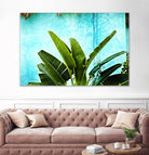 Tropical II by Peter Morneau on GIANT ART - green photo art