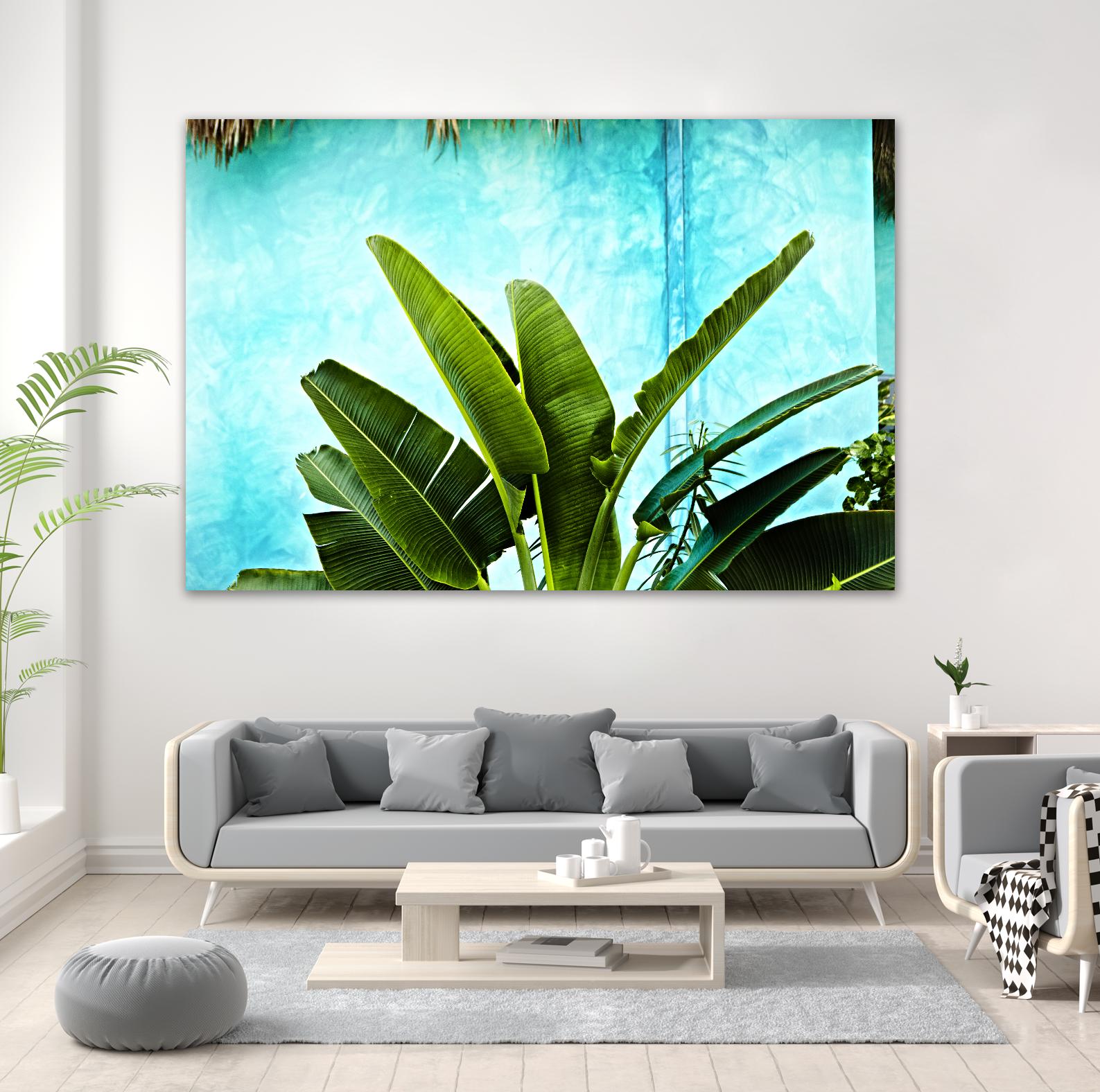 Tropical II by Peter Morneau on GIANT ART - green photo art