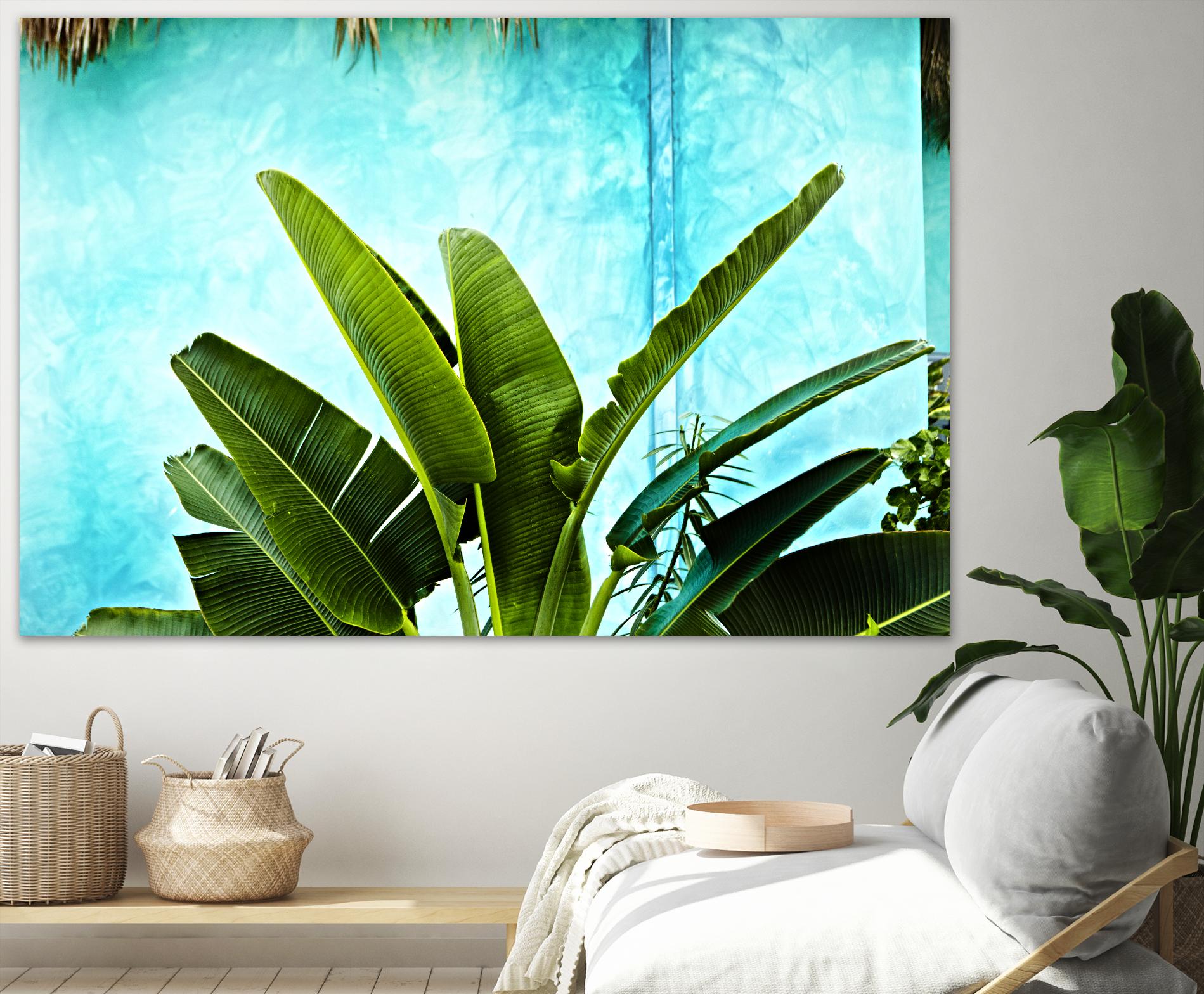 Tropical II by Peter Morneau on GIANT ART - green photo art