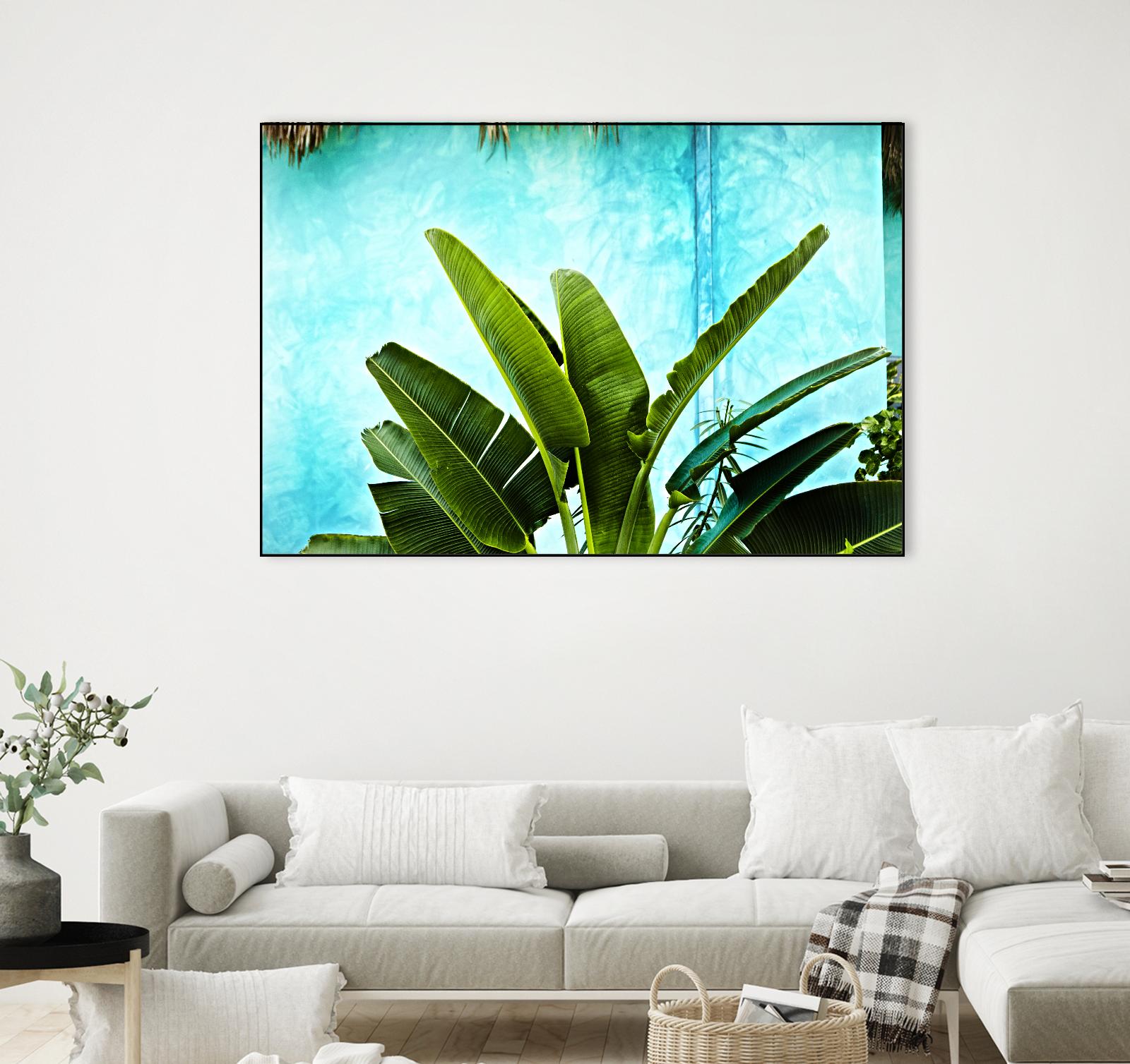 Tropical II by Peter Morneau on GIANT ART - green photo art